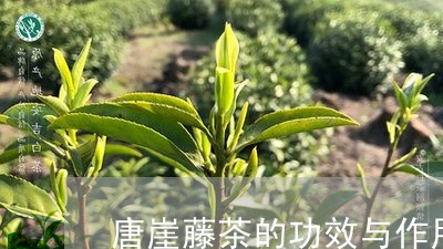 唐崖藤茶的功效与作用/2023071586179