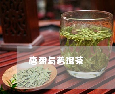 唐朝与普洱茶/2023042828532