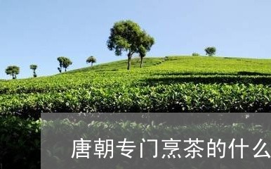 唐朝专门烹茶的什么炉/2023060921705