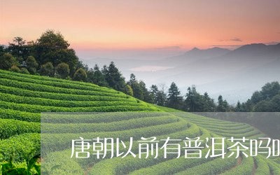 唐朝以前有普洱茶吗吗/2023062180603