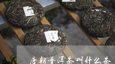 唐朝普洱茶叫什么茶/2023120554927