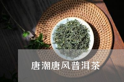 唐潮唐风普洱茶/2023120351706