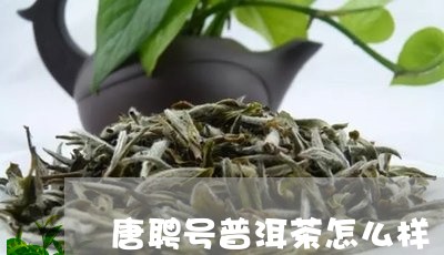 唐聘号普洱茶怎么样/2023120507149