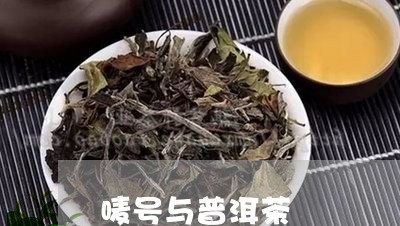 唛号与普洱茶/2023042836618