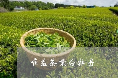 唯益茶业白牡丹/2023112369361