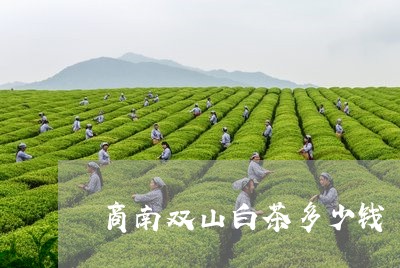 商南双山白茶多少钱/2023071737180