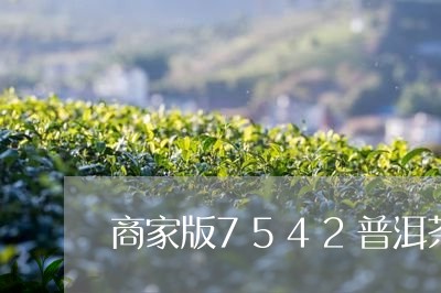 商家版7542普洱茶/2023062859582