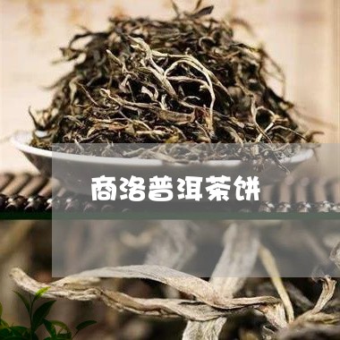 商洛普洱茶饼/2023042748979