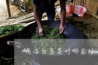 商洛白茶茶叶哪家好/2023071728370