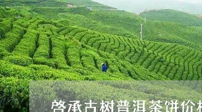 啓承古树普洱茶饼价格/2023092995158