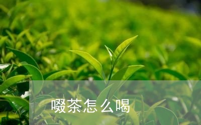 啜茶怎么喝/2023090259402