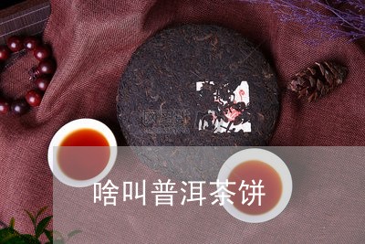 啥叫普洱茶饼/2023042522842