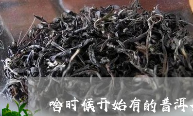 啥时候开始有的普洱茶/2023100563836