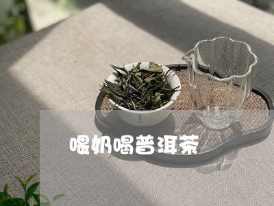 喂奶喝普洱茶/2023042804440