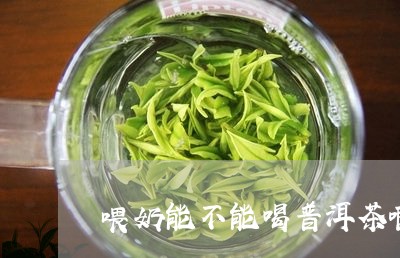 喂奶能不能喝普洱茶啊/2023092748484