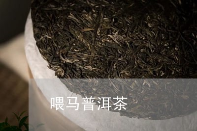 喂马普洱茶/2023081793616