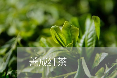 善成红茶/2023121957271