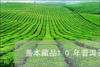 善本藏品10年普洱茶/2023100691614