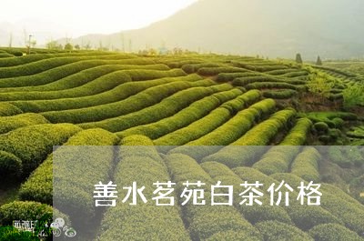 善水茗苑白茶价格/2023061691047