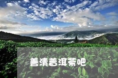 善清普洱茶吧/2023042573182