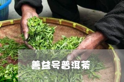 善益号普洱茶/2023042566978