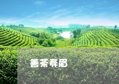 善茶寿眉/2023082666141