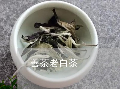 善茶老白茶/2023082692824