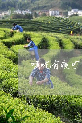 喉咙有痰可以喝普洱茶/2023073050682