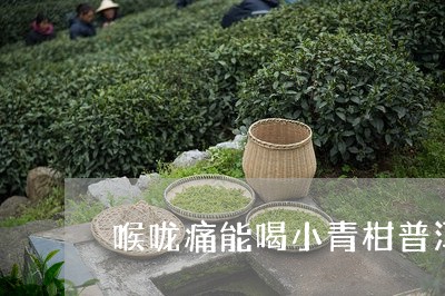 喉咙痛能喝小青柑普洱茶吗/2023082599260