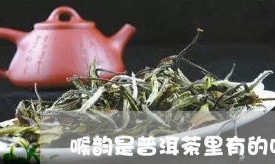 喉韵是普洱茶里有的吗/2023093067050