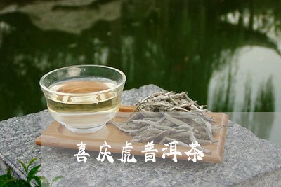 喜庆虎普洱茶/2023042731142