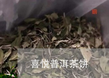 喜悦普洱茶饼/2023042699447