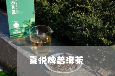 喜悦牌普洱茶/2023091396958