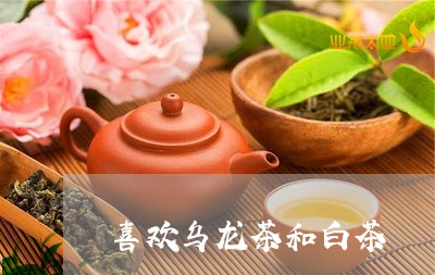 喜欢乌龙茶和白茶/2023061637270