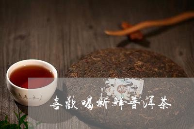 喜欢喝新鲜普洱茶/2023101604138