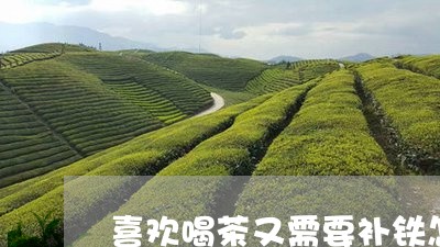 喜欢喝茶又需要补铁怎么办/2023051161715