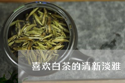 喜欢白茶的清新淡雅/2023121817070