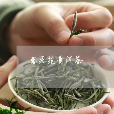 喜灵苑普洱茶/2023081851604