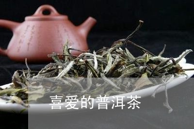 喜爱的普洱茶/2023042769478