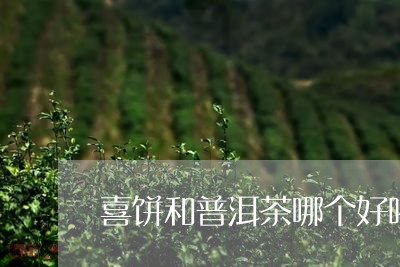 喜饼和普洱茶哪个好喝/2023100607281