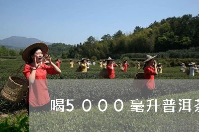 喝5000毫升普洱茶/2023073024269