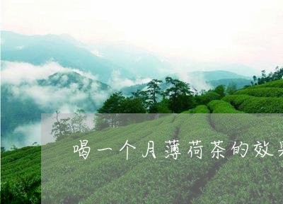 喝一个月薄荷茶的效果/2023071570381