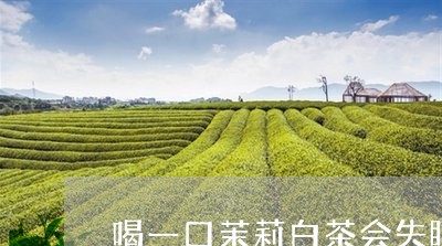 喝一口茉莉白茶会失眠吗/2023101652817