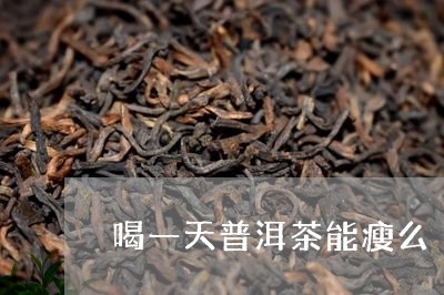 喝一天普洱茶能瘦么/2023120549284