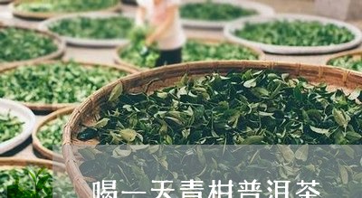 喝一天青柑普洱茶/2023112642825