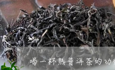 喝一杯熟普洱茶的功效与作用/2023052864735