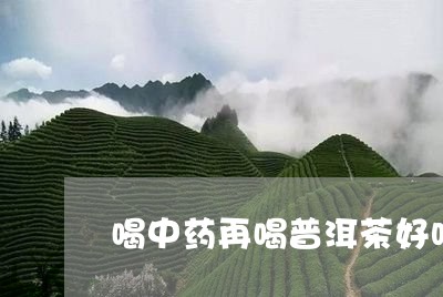 喝中药再喝普洱茶好吗/2023072424838