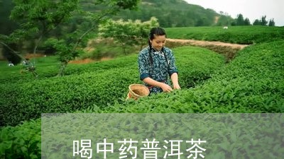 喝中药普洱茶/2023042651403