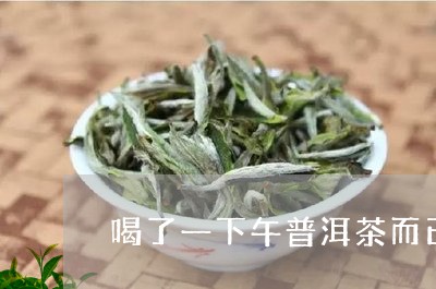 喝了一下午普洱茶而已/2023121579695