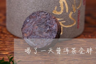 喝了一天普洱茶变胖了/2023120709914